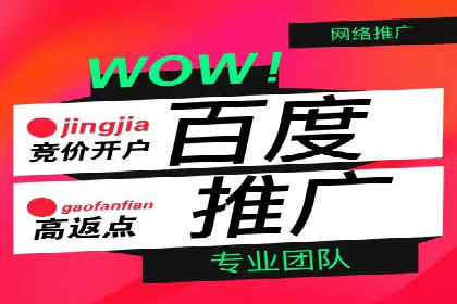 百度竞价排名策略解析：一家公司的广告投放策略全揭秘